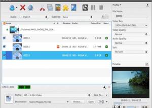 AVCWare Blu Ray Ripper for Mac screenshot