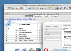 software - Banana Accounting for Mac 9 screenshot