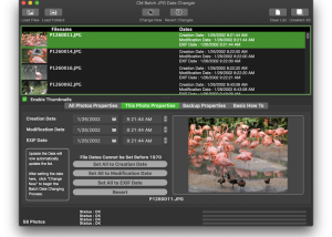 software - CM Batch JPEG Date Changer 1.8.0 screenshot