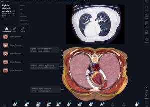 software - Complete Anatomy for Mac OS X 2020 5.2.3 screenshot