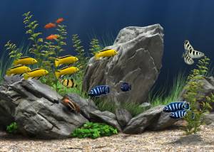 Dream Aquarium for Mac OS X screenshot