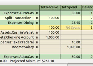 software - GnuCash for Mac OS X 5.5 screenshot