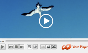 HD Video Media Player for Mac OSX screenshot