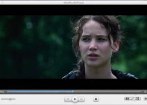 Ideal Mac Blu-ray Player screenshot