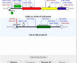 Full MacVector for Mac OS X screenshot