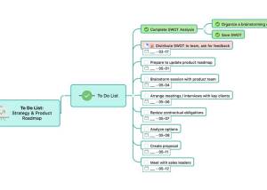 Full MindManager for Mac screenshot