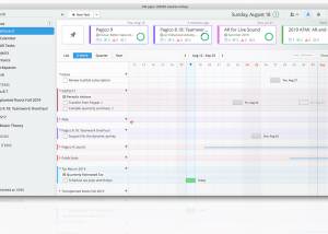 Full Pagico Professional for Mac OS X screenshot