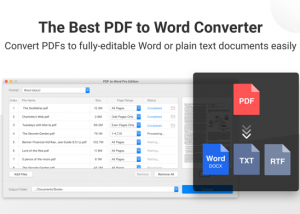 software - PDF to Word Pro Edition 1.0 screenshot