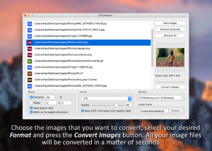 software - PicConvert 1.1 screenshot