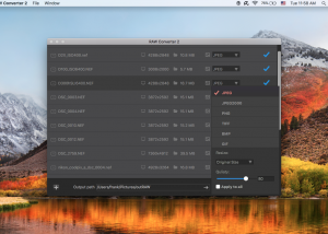 RAW Converter screenshot