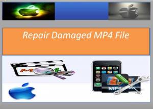 software - Repair Damaged MP4 File 2.0.0.10 screenshot