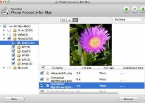 Tenorshare Photo Repair for Mac screenshot