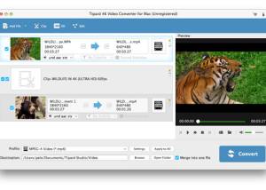 Tipard 4K Video Converter for Mac screenshot