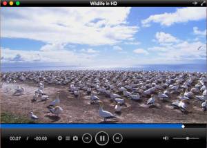 software - Total Video Player Pro for Mac 3.1.0 screenshot