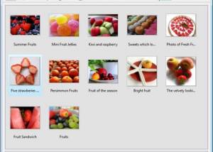 software - Visual LightBox Free Edition for Mac OS X 6.1 screenshot