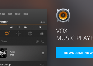 Vox for Mac OS X screenshot