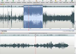 software - Wavepad Audio Editor for Mac 17.92 screenshot