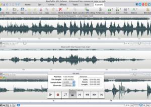 Wavepad Masters Edition for Mac screenshot